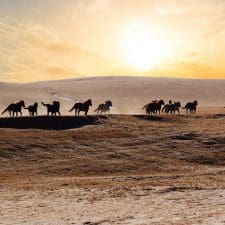 Butterfield & Robinson launches new Expedition trips