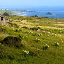 Become a Sonoma County destination expert