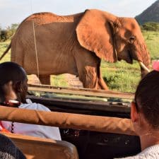 Goway puts the spotlight on family adventure