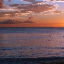 Barbados Setting Performance Records