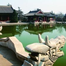 Exploring 'The World of Dan Tours'