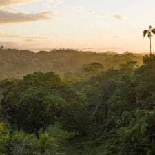 Jamaica tracks the “Appren-trip” trend