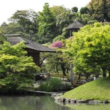 PONANT offers Japan savings