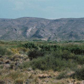 ana-lucia-licea-iEyixjqpnx4-unsplash_1875x750