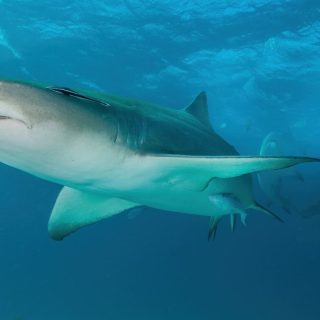 fiona-ayerst-TdENDAHtPBw-unsplash_1875x750